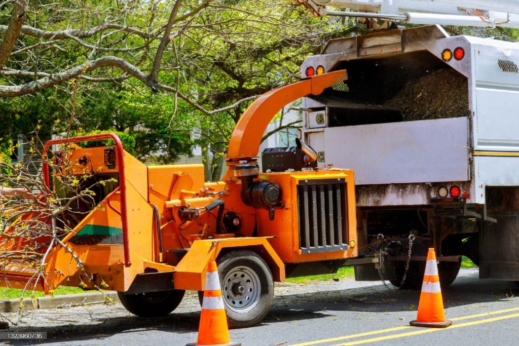 What is the Average Price to Cut Down A Large Tree in Aurora, IL Tree