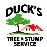 Duck's Tree and Stump Service Logo